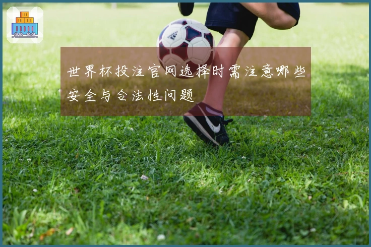 世界杯投注官网选择时需注意哪些安全与合法性问题