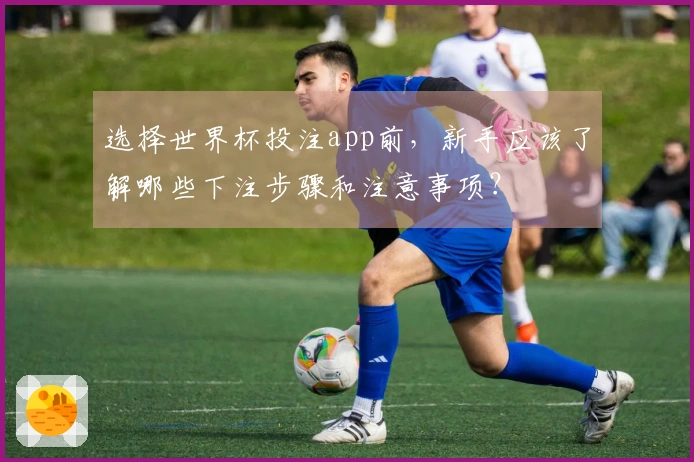 选择世界杯投注app前，新手应该了解哪些下注步骤和注意事项？