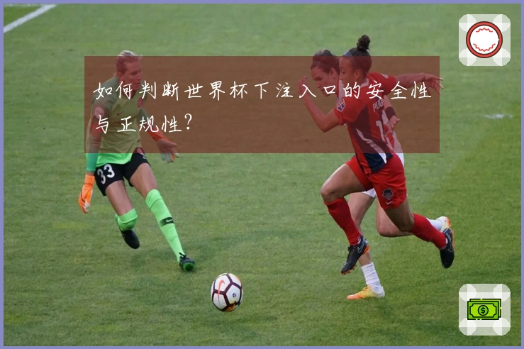 如何判断世界杯下注入口的安全性与正规性？