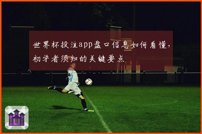 世界杯投注app盘口信息如何看懂，初学者须知的关键要点