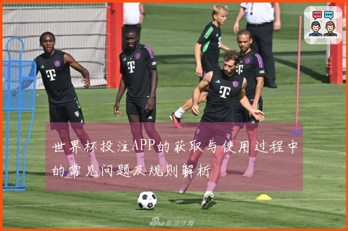 世界杯投注APP的获取与使用过程中的常见问题及规则解析
