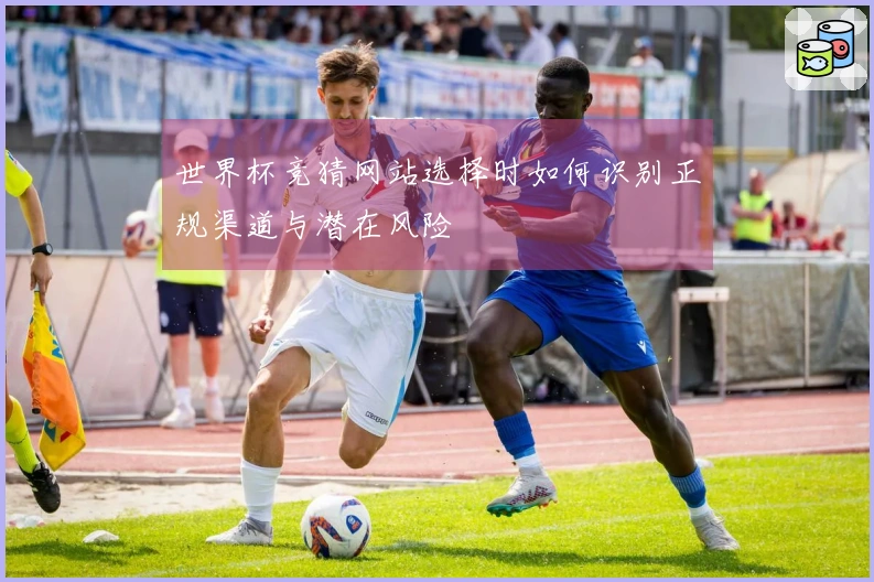 世界杯竞猜网站选择时如何识别正规渠道与潜在风险