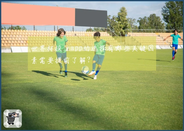 世界杯投注app的选择有哪些关键因素需要提前了解？