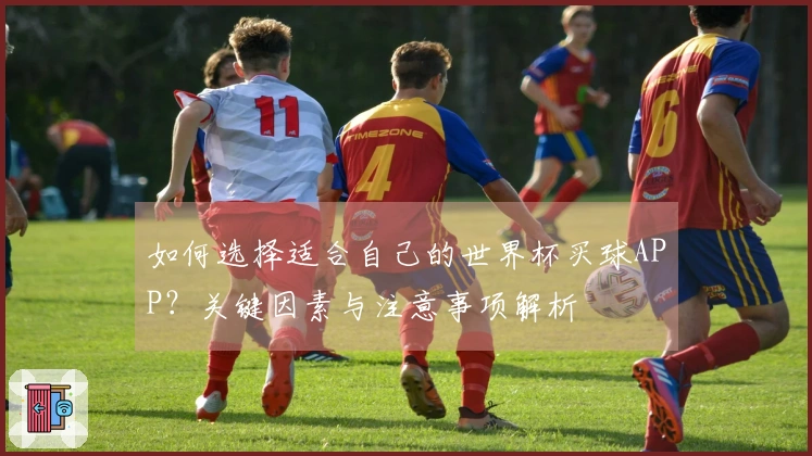 如何选择适合自己的世界杯买球APP？关键因素与注意事项解析
