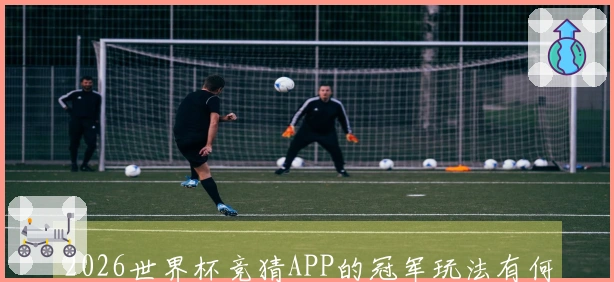 2026世界杯竞猜APP的冠军玩法有何特点，新手如何顺利入门？