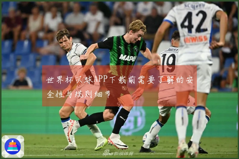 世界杯买球APP下载前需要了解的安全性与规则细节