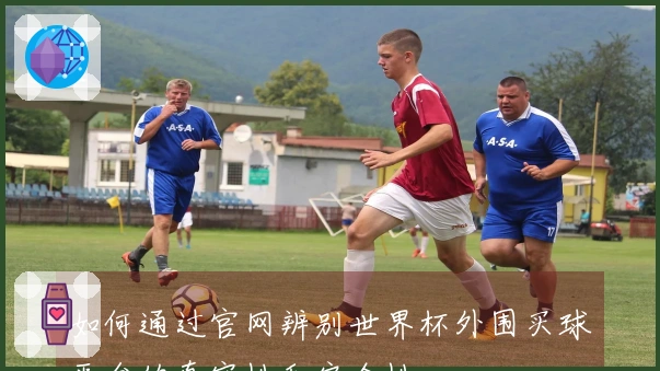 如何通过官网辨别世界杯外围买球平台的真实性和安全性