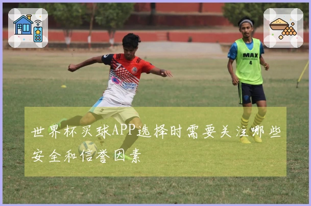 世界杯买球APP选择时需要关注哪些安全和信誉因素