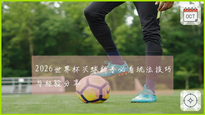 2026世界杯买球新手必看玩法技巧与经验分享