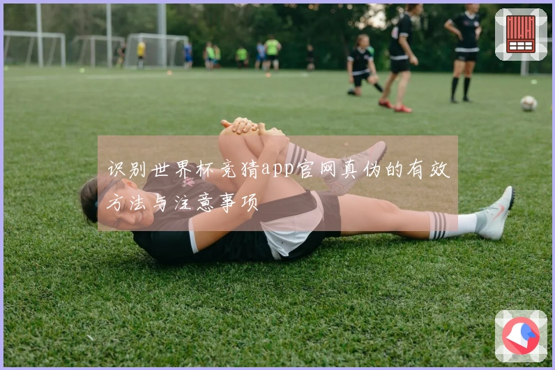 识别世界杯竞猜app官网真伪的有效方法与注意事项