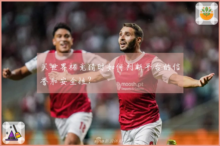 买世界杯竞猜时如何判断平台的信誉和安全性？