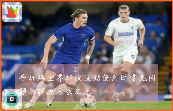 手机端世界杯投注站使用时常见问题和解决方法汇总