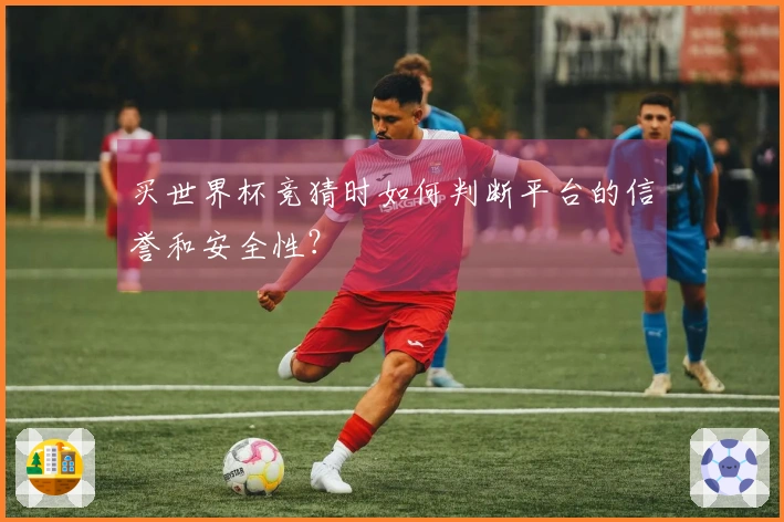 买世界杯竞猜时如何判断平台的信誉和安全性？