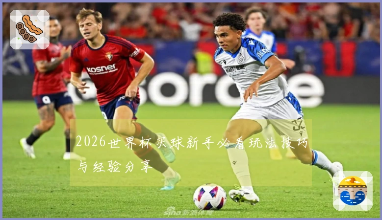 2026世界杯买球新手必看玩法技巧与经验分享