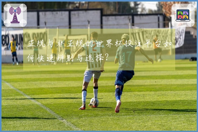 正规与非正规的世界杯投注平台如何快速辨别与选择？