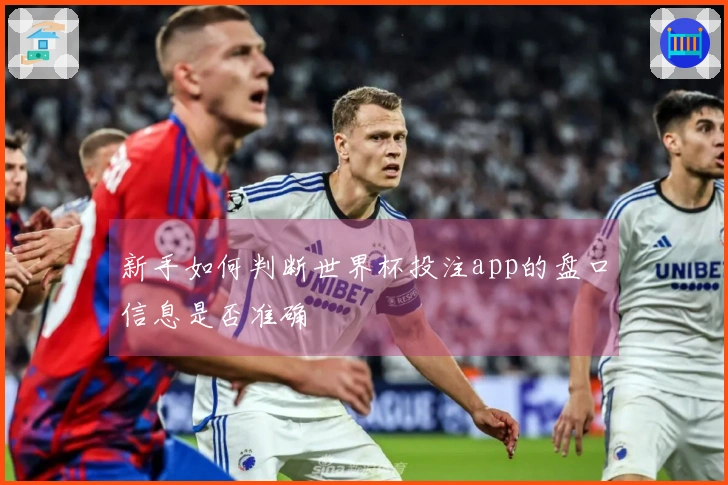 新手如何判断世界杯投注app的盘口信息是否准确