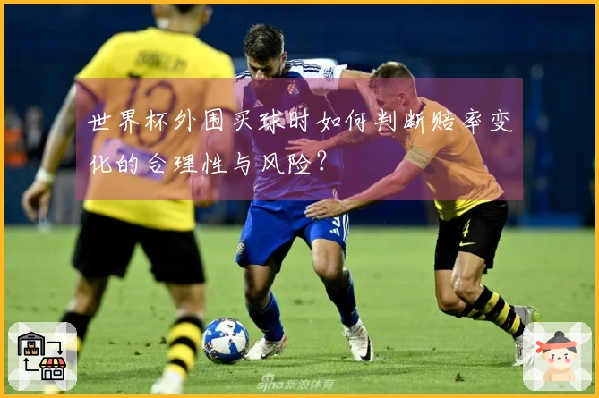世界杯外围买球时如何判断赔率变化的合理性与风险？