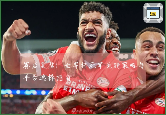 赛后复盘：世界杯冠军竞猜策略与平台选择指南