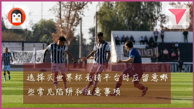 选择买世界杯竞猜平台时应留意哪些常见陷阱和注意事项