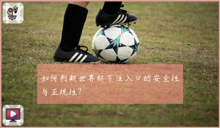 如何判断世界杯下注入口的安全性与正规性?