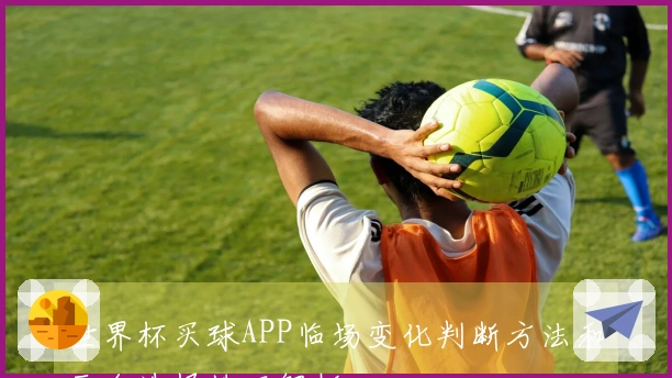 世界杯买球APP临场变化判断方法和平台选择技巧解析