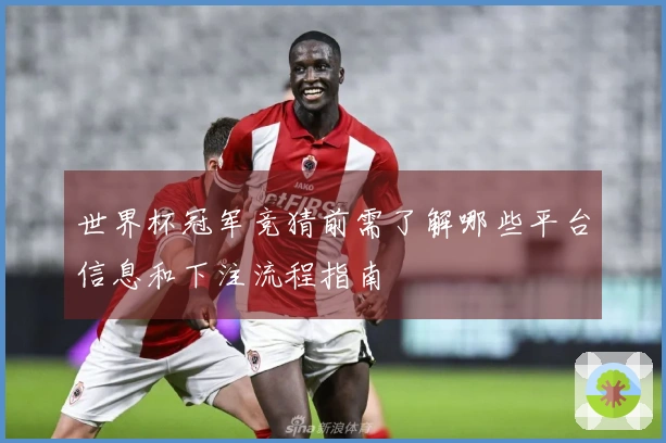 世界杯冠军竞猜前需了解哪些平台信息和下注流程指南