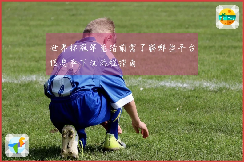 世界杯冠军竞猜前需了解哪些平台信息和下注流程指南