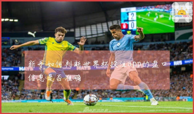 新手如何判断世界杯投注app的盘口信息是否准确