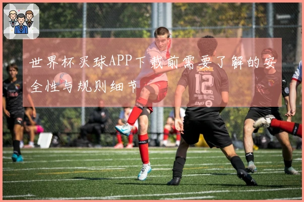 世界杯买球APP下载前需要了解的安全性与规则细节