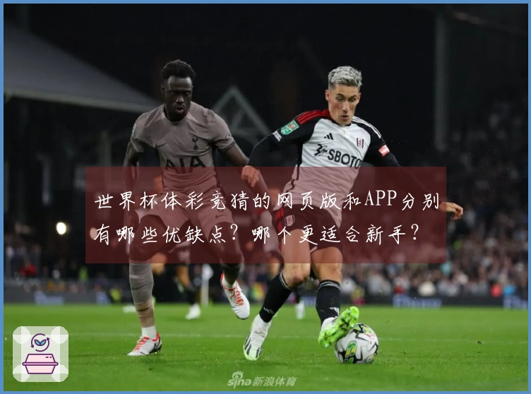 世界杯体彩竞猜的网页版和APP分别有哪些优缺点？哪个更适合新手？