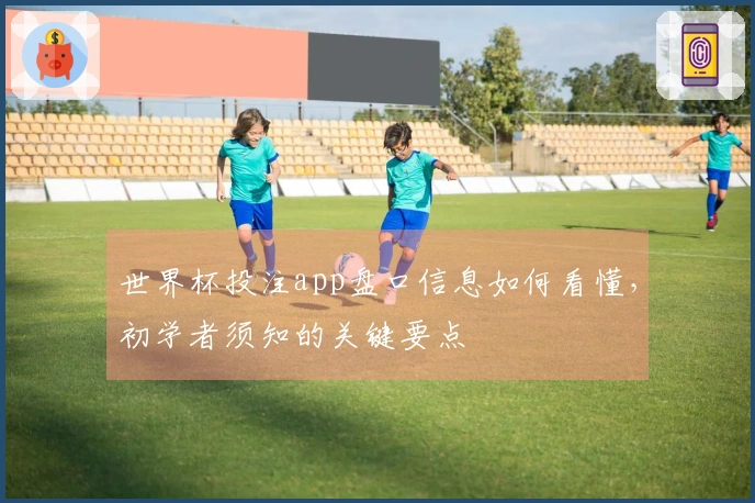 世界杯投注app盘口信息如何看懂，初学者须知的关键要点