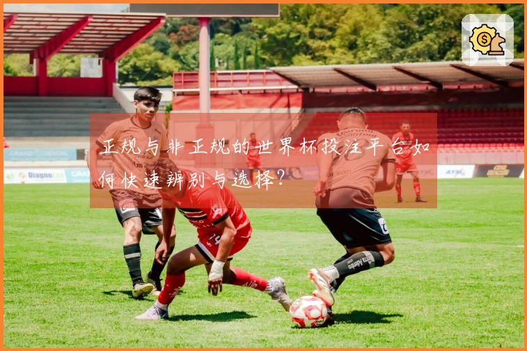 正规与非正规的世界杯投注平台如何快速辨别与选择？